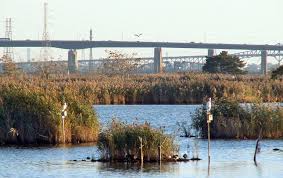 Image result for Avocado Light 1969 Tappan