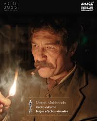 Ariel de Oro 2025, Sindicato de Trabajadores de la Producción  Cinematográfica, recibe Felipe Marino. 🏆