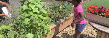 Check spelling or type a new query. Gardening Montessori Style