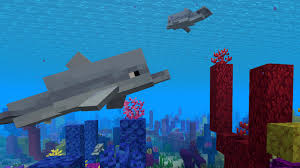 Delfin Das Offizielle Minecraft Wiki