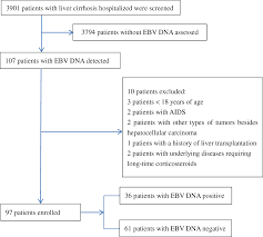 Epstein Barr Virus Infection Is Associated With A Higher