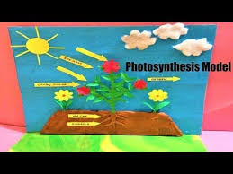 Nature Photosynthesis Model Photosynthesis Model Photosynthesis Vs Cellular Respiration In 2020 Photosynthesis Activities Photosynthesis Projects Photosynthesis