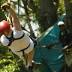Media image for honduras from Miami Herald