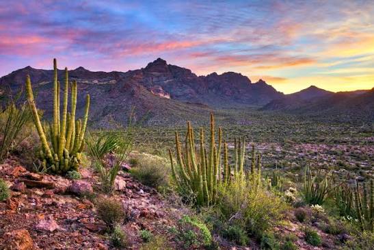 10 days in Southern Arizona's National Parks & Monuments | Western National  Parks