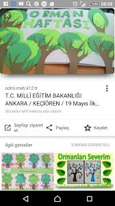 Filiz Algul Adli Kullanicinin Susleme Ve Afis Panosundaki Pin Egitim Sinif