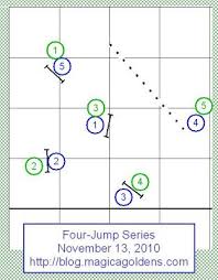 Fifty Five Degrees On The 13th Of November What Could Be Better I Dunno Maybe Brilliant Sunshine A Dog Agility Dog Agility Course Agility Training For Dogs