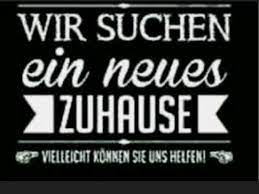 Achte im immobilienangebot jedoch auf möglicherweise versteckte kosten z.b. Wir Suchen Eine Wohnung In Nordfriesland Uelvesbull Erdgeschosswohnung Mieten Ebay Kleinanzeigen