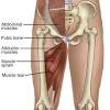 The length of time will depend on how severe the injury is and whether it is located in the muscle or the tendons. 1