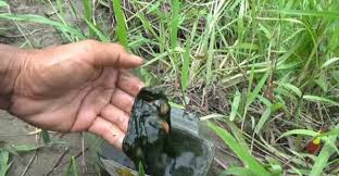 Tips mencari spot mancing terbaik,cara mengetahui tempat mancing yang ampuh untuk ikan nila, mancing nila nga usah. 27 Racikan Umpan Ikan Nila Paling Jitu Yang 100 Ampuh