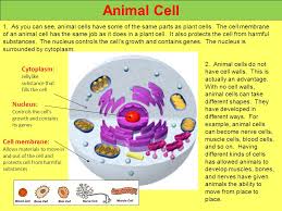 Which eukaryotic cell structure plays a role in protein trafficking and sorting? Cells And Microorganisms Ppt Video Online Download
