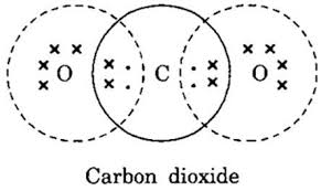 what will be the electron dot structure of carbon dioxide which ...