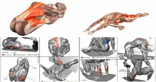 11 Dynamic Stretch Exercises To Assist With Massaging Hard To Reach Muscles For Instant Relief Gymguider Com Dynamic Stretching Stretching Exercises Workout Routine For Men