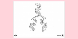 Follow all directions on the coloring sheet and complete the dna replication worksheet behind it. Free Dna Replication Colouring Sheet Colouring Sheets