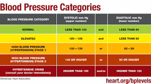 new interactive tool helps to understand blood pressure