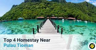 Datanglah ke tioman paya resort dan temui keajaiban pulau ini dengan keindahan alam semulajadi disekitar resort ini. Top 4 Homestay Near Pulau Tioman C Letsgoholiday My