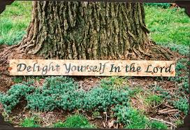 Image result for images delighting in the lord