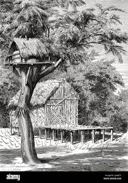Rice barn and burial house of the native Akha people, Bolaven Plateau,  Champassak province. Laos. Southeast Asia. Laos and the wild populations of  Indo-China by Doctor Harmand 1877 Stock Photo - Alamy