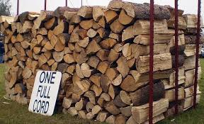 Cabin Life Five Cords Of Wood A Year Cabin Life Wood Firewood