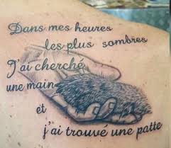 Quelles tendances en 2019 ? De La Main A La Patte Posts Facebook