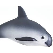 Ich finde, wir können nicht abwarten, bis auch noch der letzte schweinswal tot ist, ehe wir die wissenschaftlichen beweise als solche anerkennen, denn dann ist es zu spät. Safari Ltd Wild Safari Sealife 100101 Kalifornischer Schweinswal 4 98