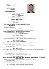 Online Editor Cv Europass May 2021