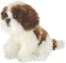 Pin On Dogs