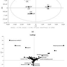 Image result for Equilabium petiolare