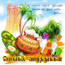 Transparent Birthday Wishes In Tamil Png Pongal Greetings Village Cow Tree Happy Pongal Wishes Happy Pongal Tamil Greetings
