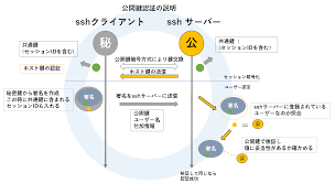 公開 鍵 認証 ssh