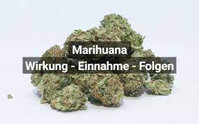 Mit drogen wie weed oder kokain, die so zugänglich sind, als elternteil oder betreuer, können sie offenbar hatte es der vorbesitzer wie auch der gebrauchtwagenhändler versäumt, das marihuana. Marihuana Wirkung Nebenwirkungen Und Risiken