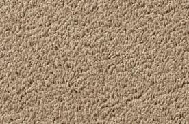 Leisten für laminat, parkett, kork, fliesen, teppich, vinyl✓ dauertiefpreise✓ fußleisten bei hornbach kaufen! 8h98 Vorwerk Teppich Passion 1002 Velours Rollen Auslegware Bei Www Boden4you Com Gunstig Frachtfrei Kaufen Im Anschnitt Als Meterware