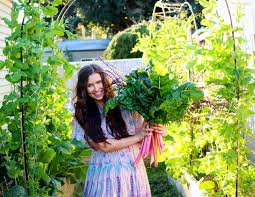 Check spelling or type a new query. The Beginner S Guide To Starting Vegetable Seeds Indoors Dwell