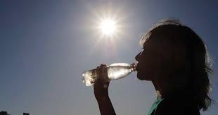 images?q=tbn:ANd9GcT5oK-xyzSJS8KM2jyFo8bN1WlgPitCzLQLCg&s