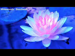 Beachwalk Lyrics Beach Wallpaper