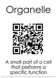 Parts Of A Cell And Organization Qr Activity Vocabulary Words Cell The Cell