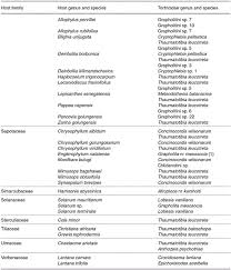 Image result for Deinbollia sp. A