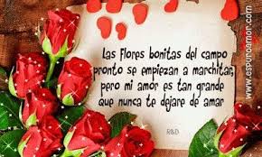 Te Amare X Siempre Frases De Rosas Poemas De Amor Y Frases Y Poemas