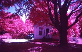 The decision to use infrared film was in the infrared film also serves to clearly emphasize the authorial hand. How To Shoot Color Infrared Film In The Simple Use Camera Lomography