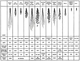 64 Paradigmatic Sparks Chart