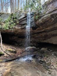 After the land was stripped of timber for years, the dept. Tecumseh Falls Holly River State Park