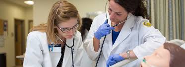 Master S In Nursing Msn Online And Hybrid Degree Neit
