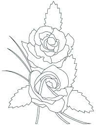 Free printable a heart with two roses coloring page in vector format, easy to print from any device and automatically fit any paper size. Two Beautiful Rose Coloring Page Download Print Online Coloring Pages For Free Color Nimbus