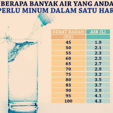 Selain itu juga dapat menurunkan berat badan, membuat kulit lebih cerah dan segar, dapat membersihkan usus, ginjal lebih sehat dan melancarkan. Keperluan Air Mengikut Berat Badan