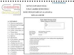 We did not find results for: Soal Uas Ipa Kelas 6 Semester 1 Dan Kunci Jawaban Contoh Materi Pendidikan