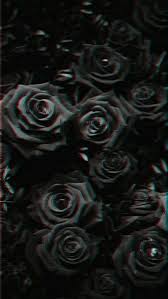 Láº¥y Áº£nh Thi Cho Minh Xin 1 Follow Tá»« Cac Báº¡n Nhe Cam Æ¡n Cac Báº¡n In 2020 Black Roses Wallpaper Glitch Wallpaper Black Aesthetic Wallpaper Large blossoming flowers will encapsulate your wall and make a bold statement effortlessly. black roses wallpaper glitch wallpaper
