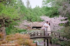 Of the japanese gardens that i have seen around the bay area (public and private), i would rank hakone gardens at. Hakone Garden Saratoga