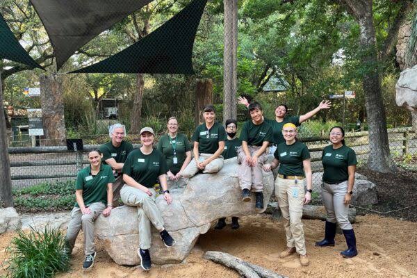 Houston Zoo Adult Volunteer Program