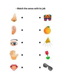 5 senses exercise for grade 1 prep