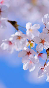 Maybe you would like to learn more about one of these? Phones Wallpaper Cute Spring 2021 Phone Wallpaper Hd