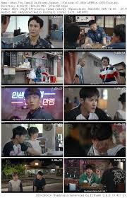When camellia blooms;dongbaekggoch pil muryeob;dongbaekkkot pil dong baek is a single mother living in the small town of ongsan. When The Camellia Blooms Season 1 Episode 1 20 Complete Korean Drama Mp4 3gp Download 9jarocks